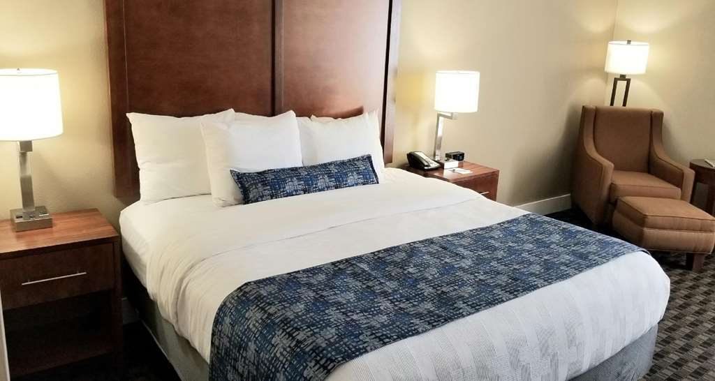 Best Western Plus Greenville I-385 Inn & Suites Værelse billede