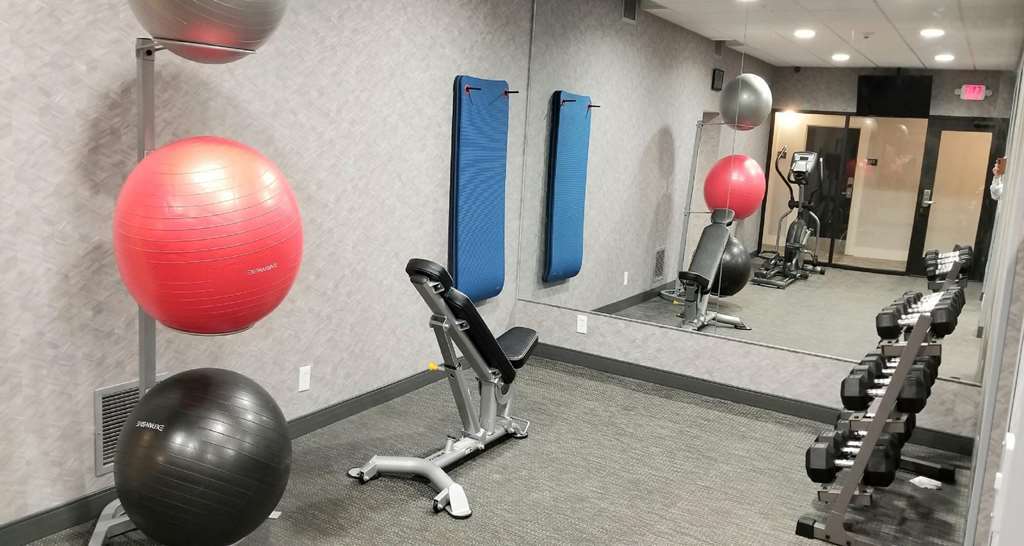 Best Western Plus Greenville I-385 Inn & Suites Faciliteter billede